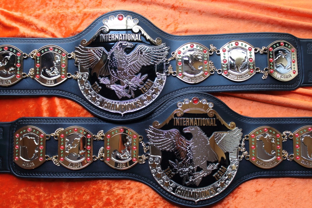 新素材新作 NWAインターナショナルタッグチャンピオンベルト(鋳造リアル版ライトパートナー) - 格闘技/プロレス - alrc.asia