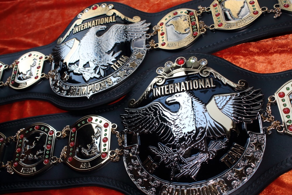 新素材新作 NWAインターナショナルタッグチャンピオンベルト(鋳造リアル版ライトパートナー) - 格闘技/プロレス - alrc.asia